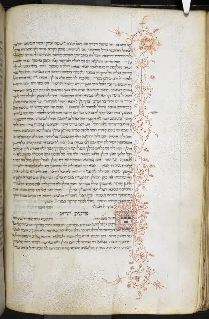 Zohar Wayera