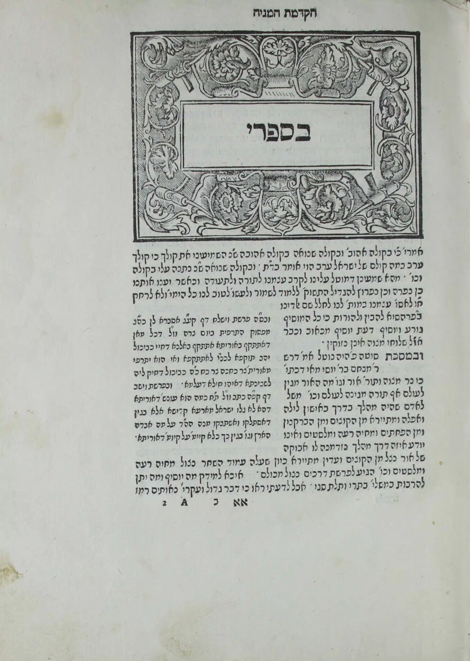 Zohar Mantoue 6