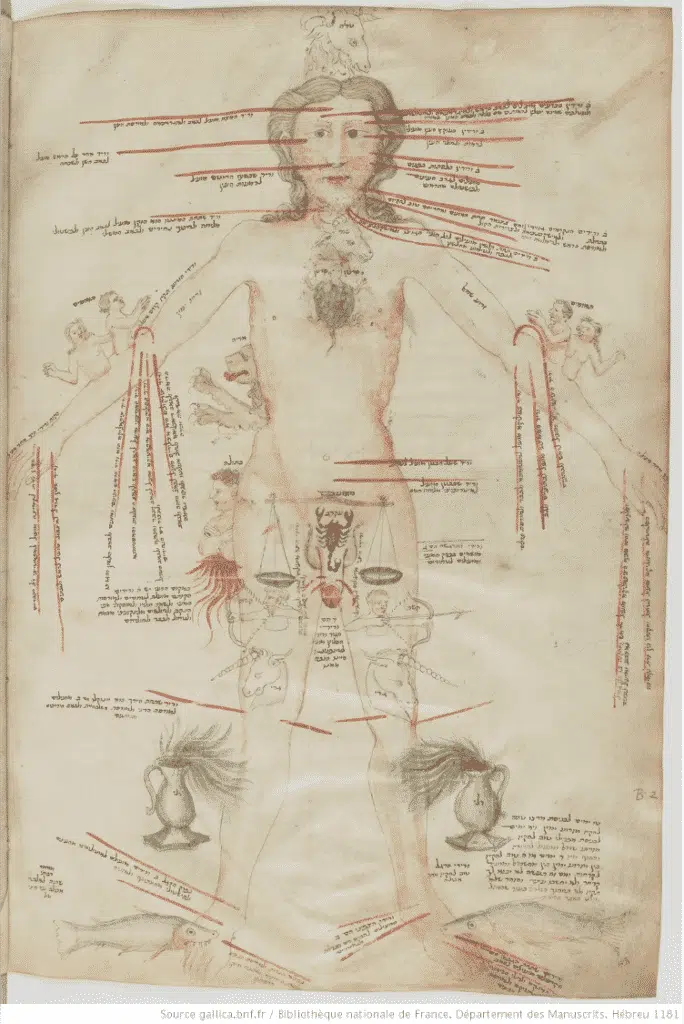 The body in the Sefer Yetzirah