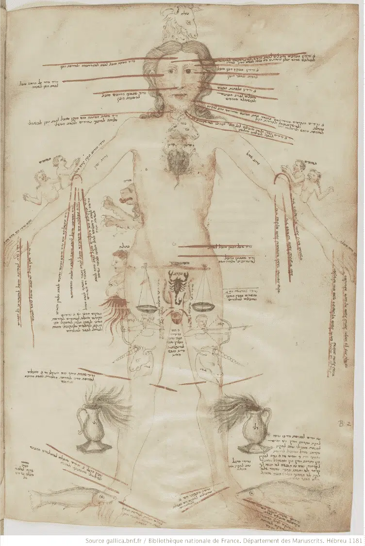 The body in the Sefer Yetzirah